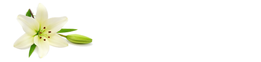 Care Funeral Services