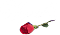 Winnipeg Funeral Home - Funeral Chapels & Services