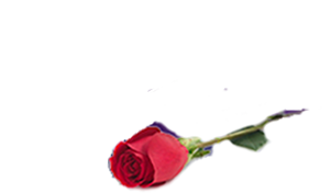 Winnipeg Funeral Home - Funeral Chapels & Services